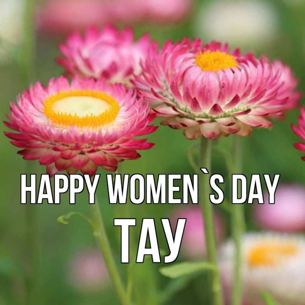 Greetings card с именем, ТАУ happy women`s day подарок на международный женский день Greetings with text for free download 